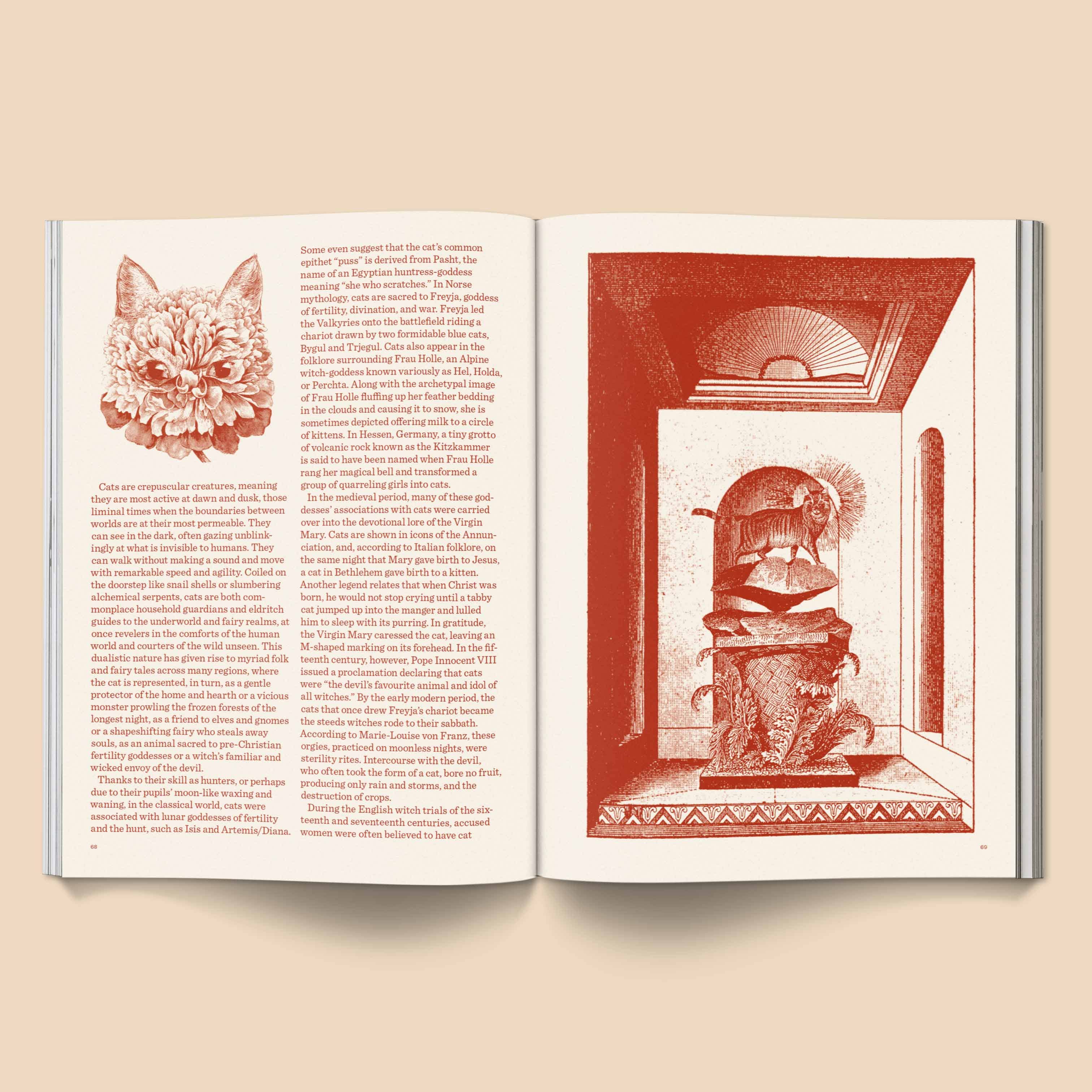 CATNIP MAGAZINE | BROCCOLI PUBLISHING