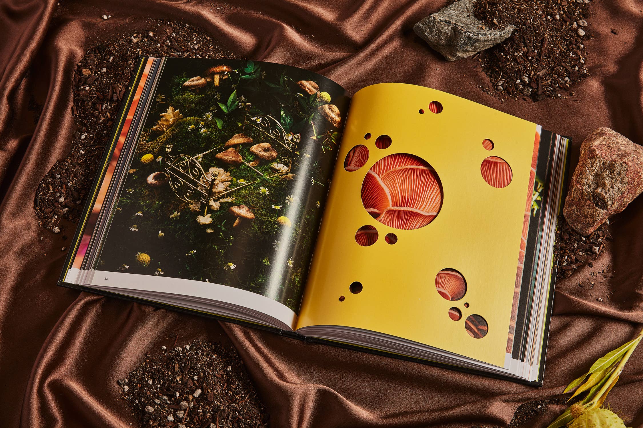 Spores | Magical Mushroom Photography Book