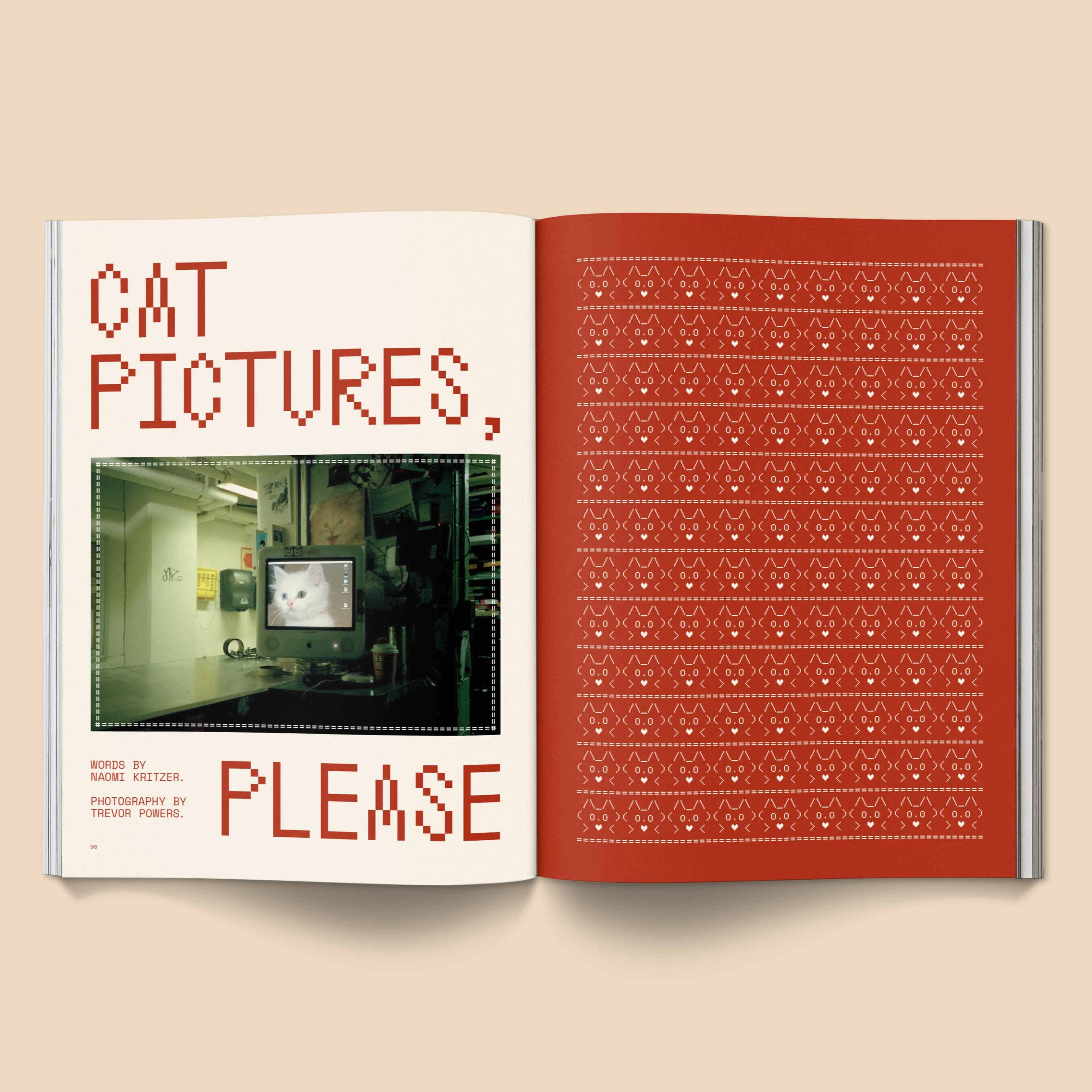 CATNIP MAGAZINE | BROCCOLI PUBLISHING