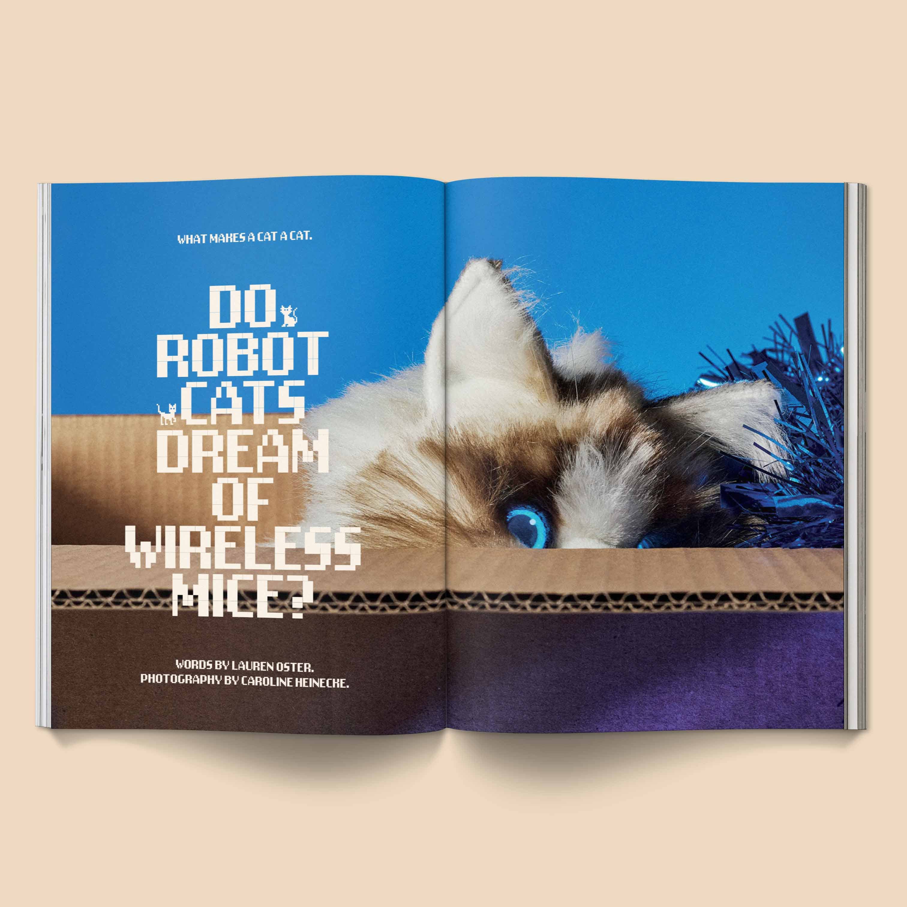 CATNIP MAGAZINE | BROCCOLI PUBLISHING