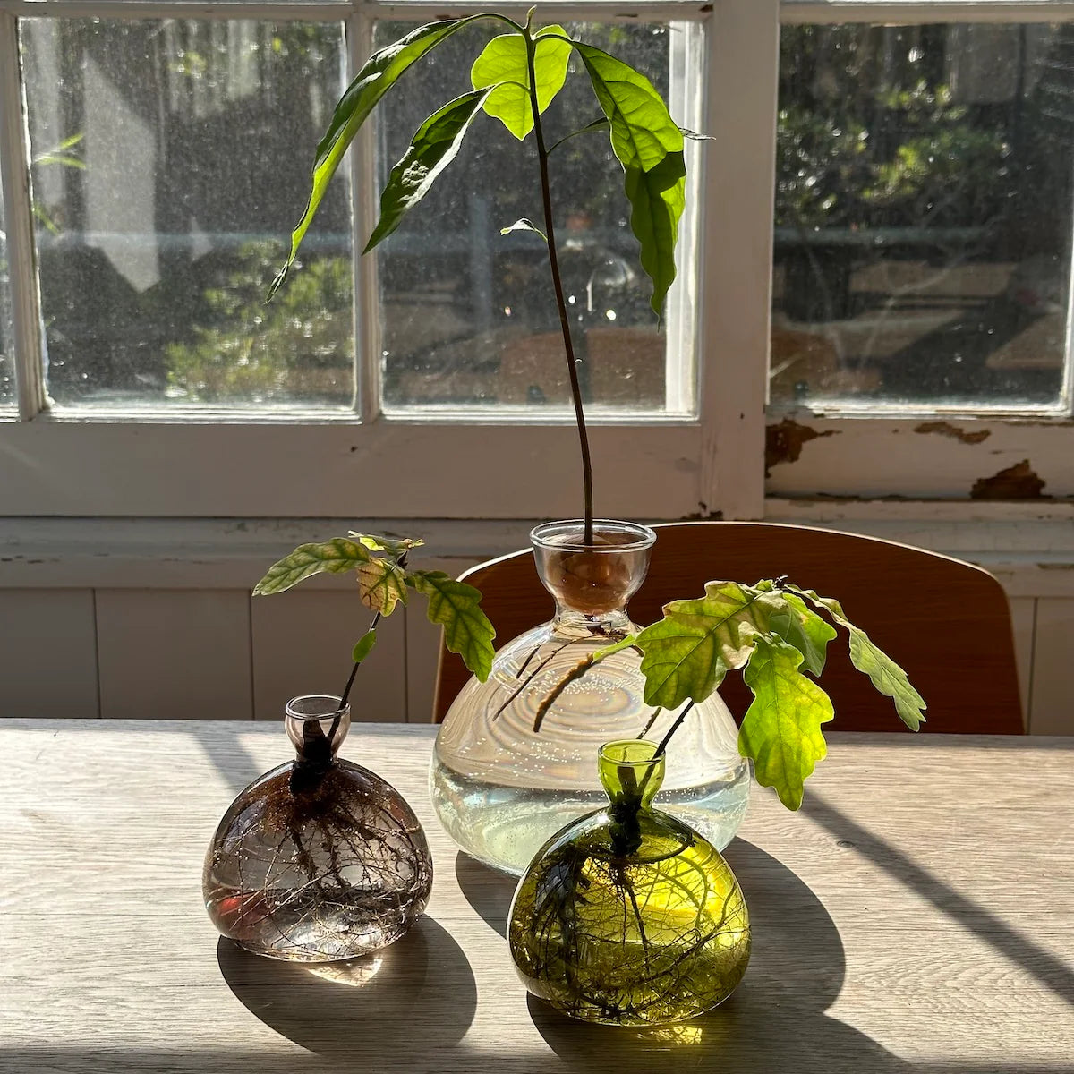 ACORN VASE | SMOKE