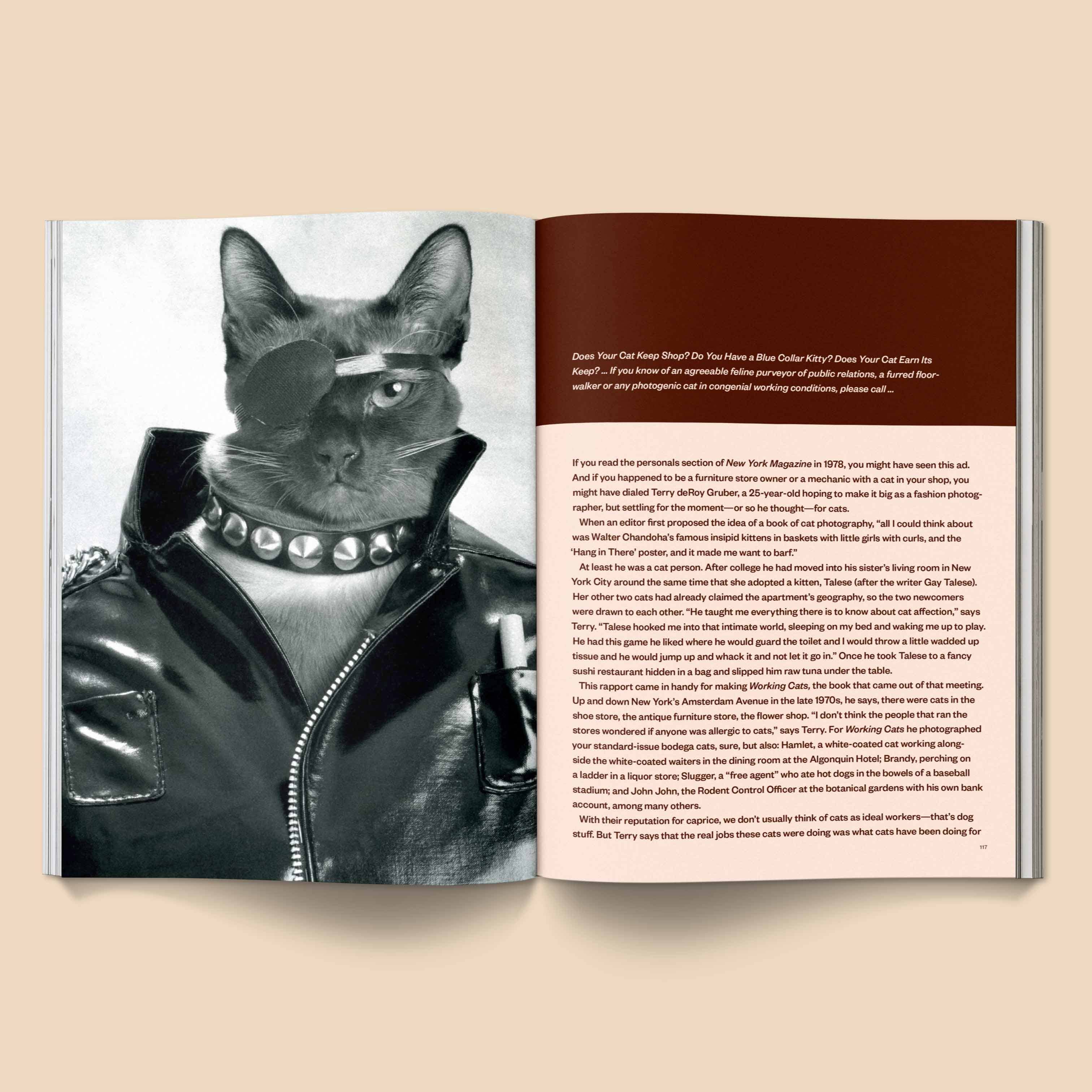 CATNIP MAGAZINE | BROCCOLI PUBLISHING