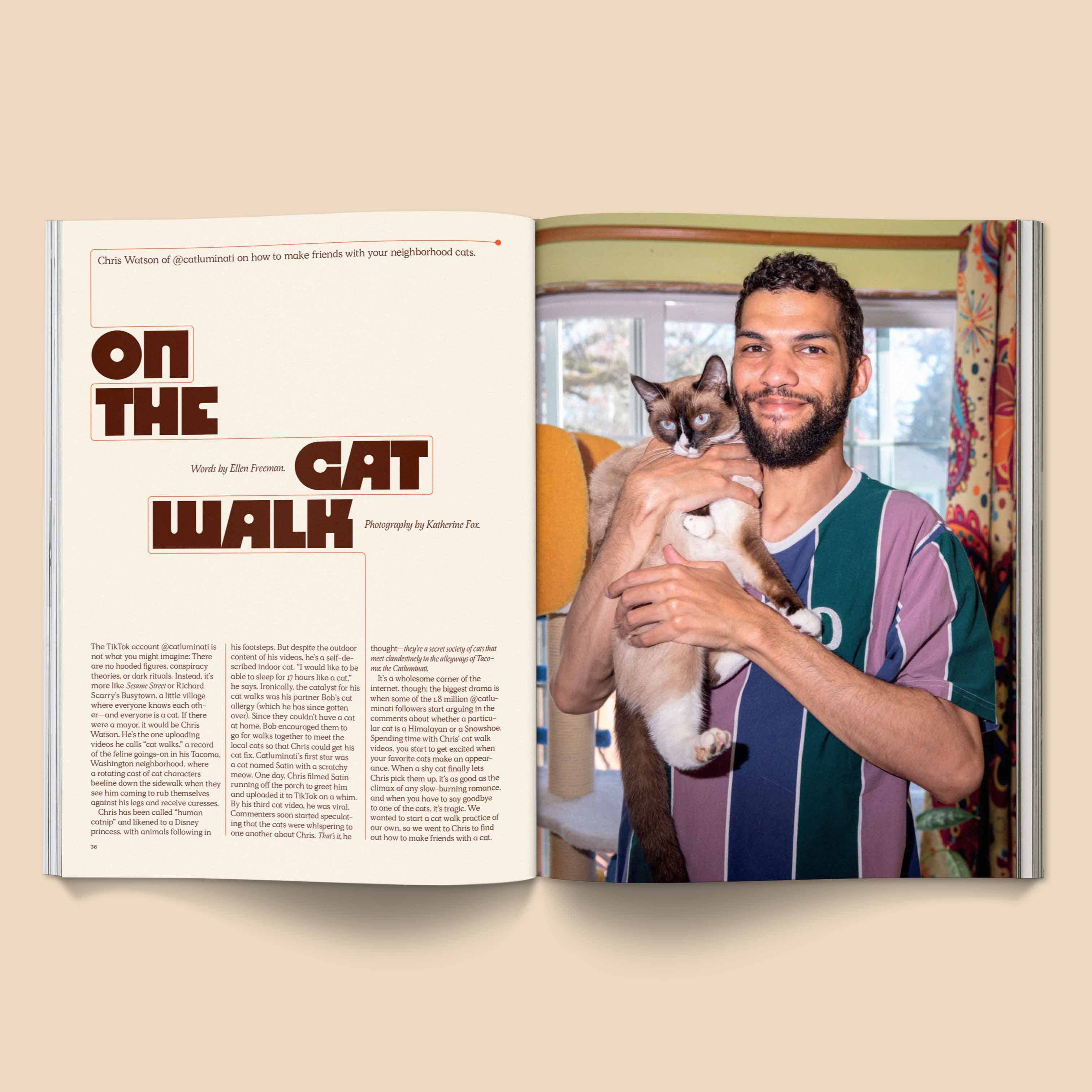 CATNIP MAGAZINE | BROCCOLI PUBLISHING