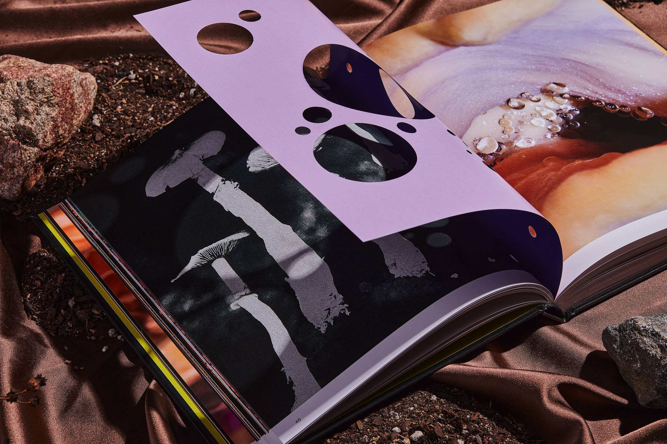 Spores | Magical Mushroom Photography Book