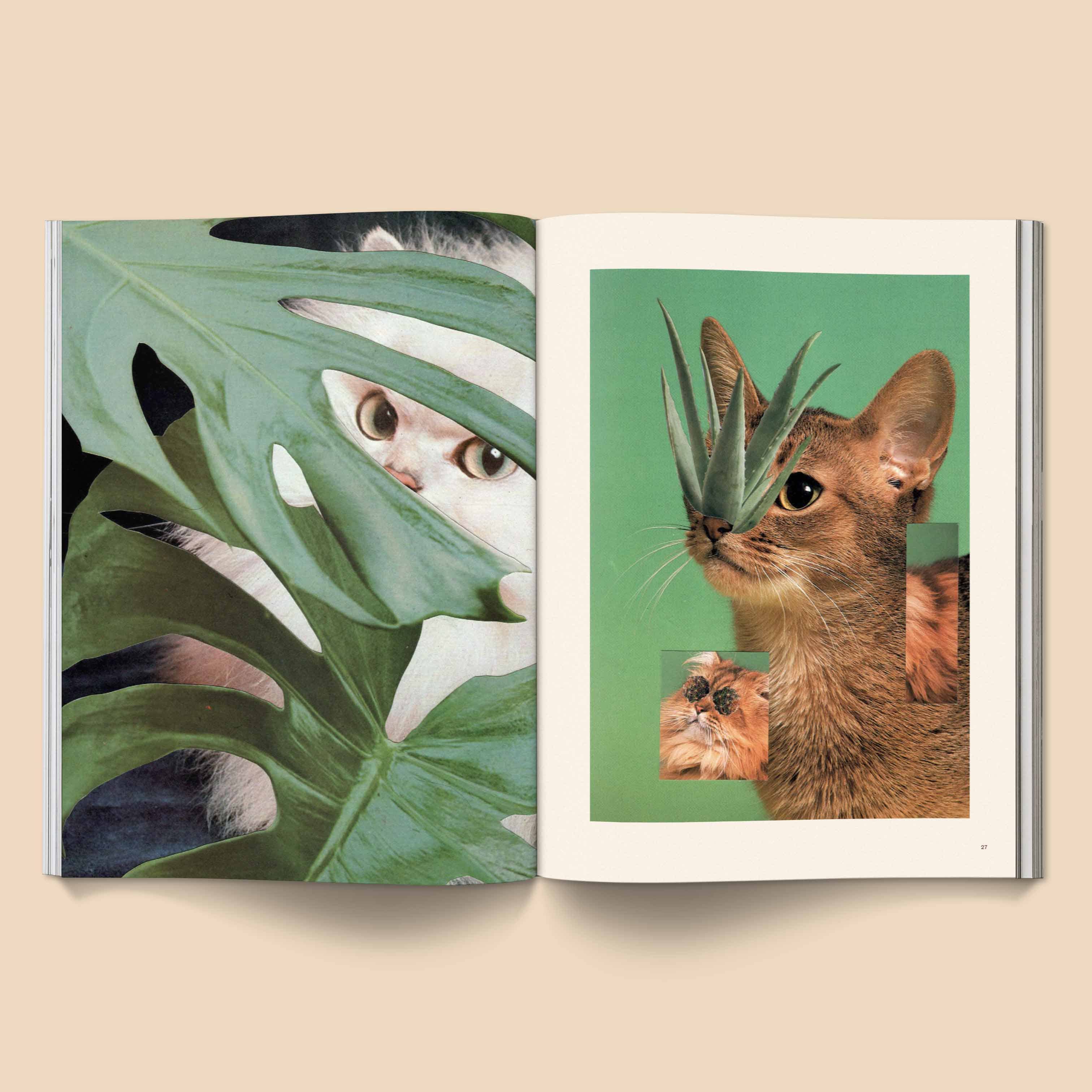 CATNIP MAGAZINE | BROCCOLI PUBLISHING