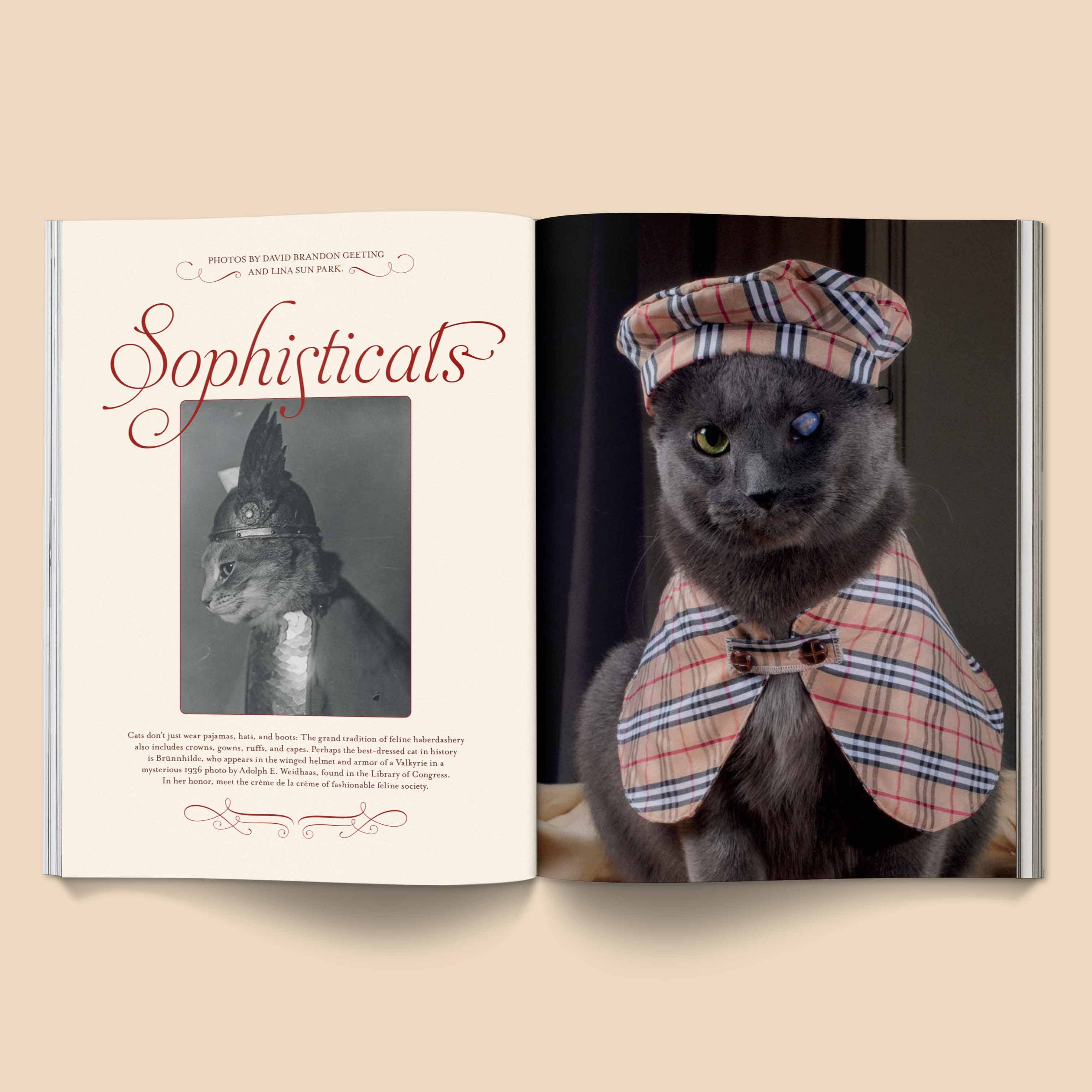 CATNIP MAGAZINE | BROCCOLI PUBLISHING