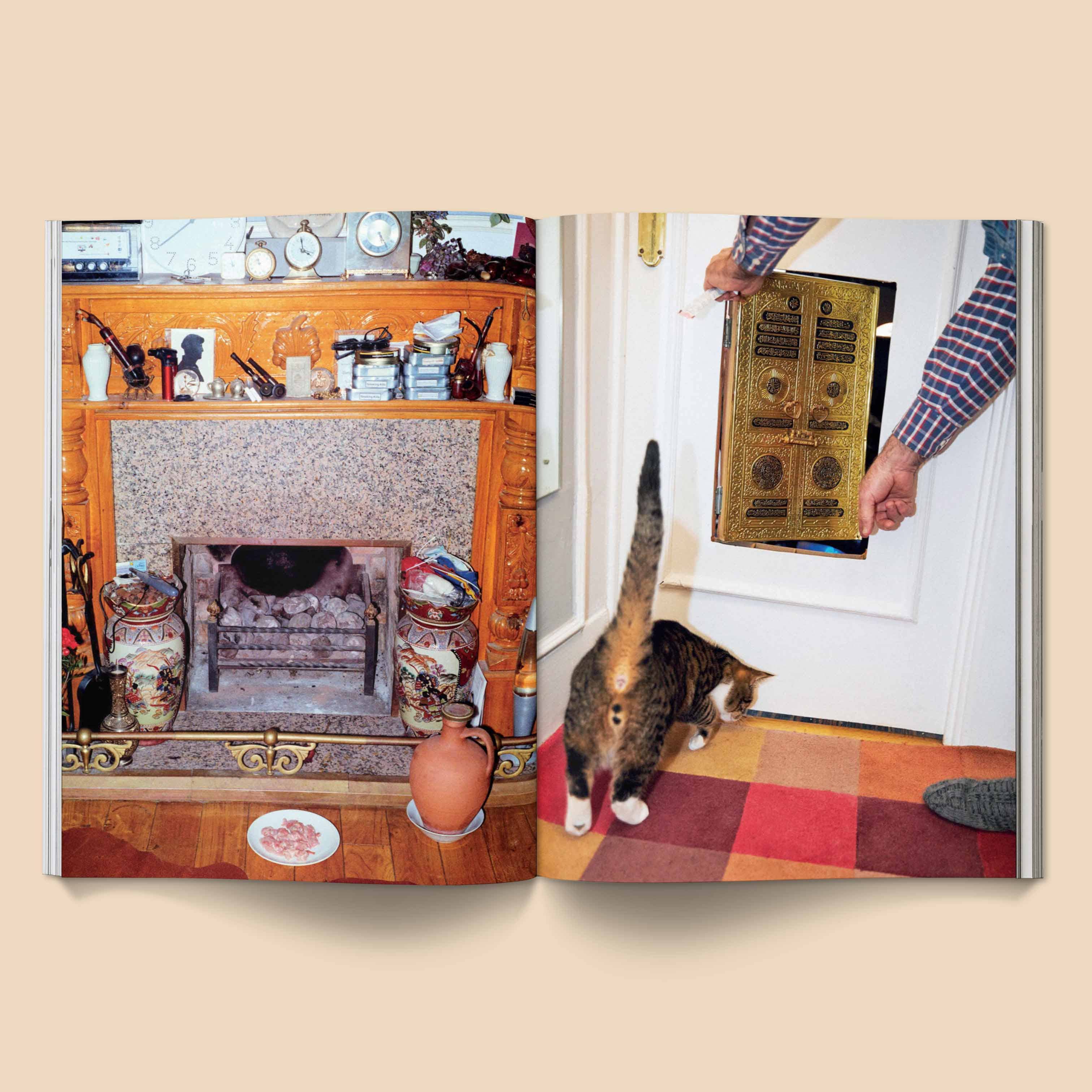 CATNIP MAGAZINE | BROCCOLI PUBLISHING