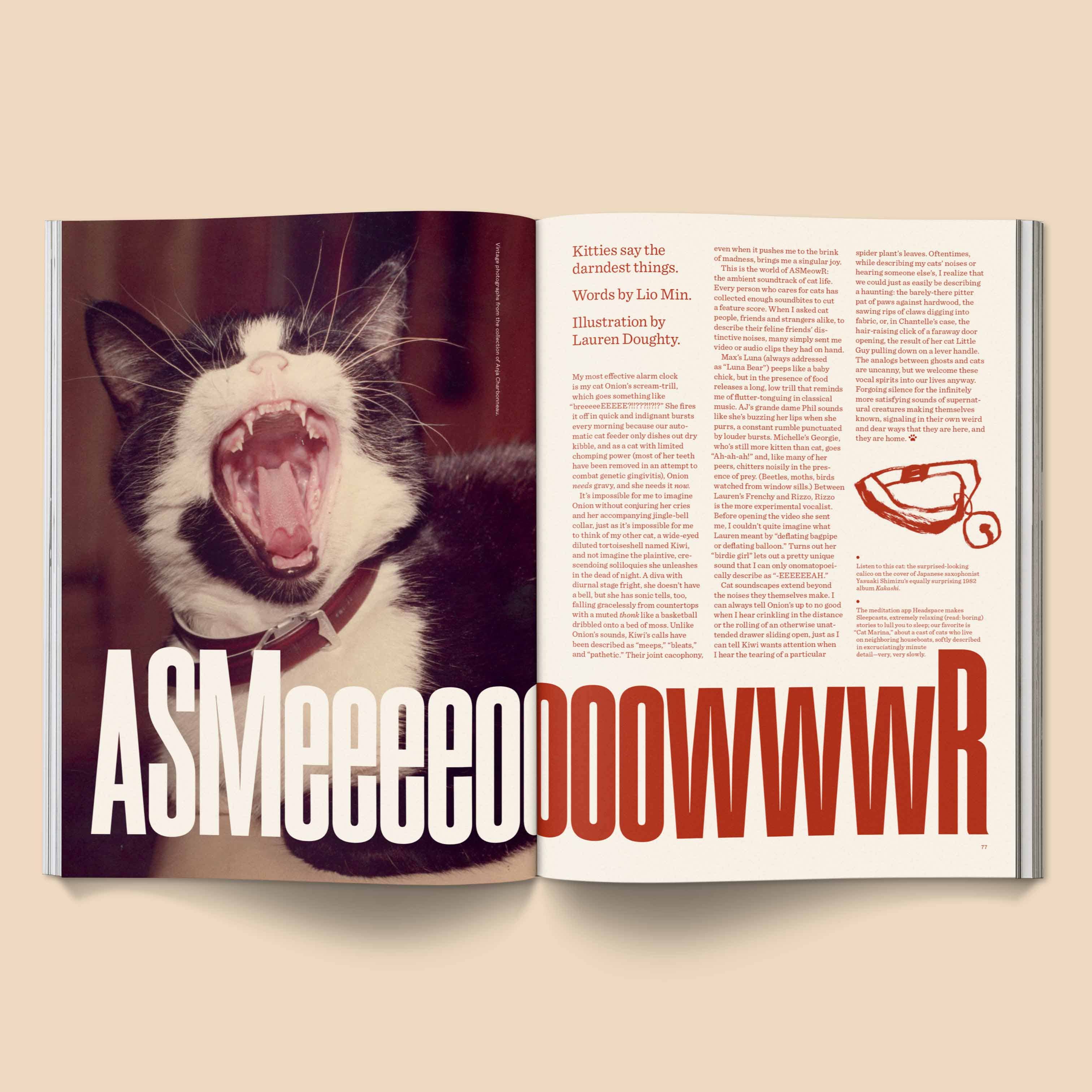 CATNIP MAGAZINE | BROCCOLI PUBLISHING