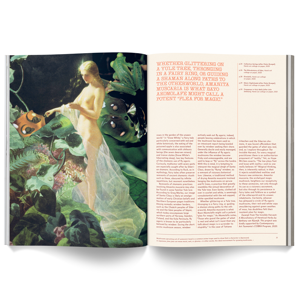 MUSHROOM PEOPLE MAGAZINE | BROCCOLI PUBLISHING