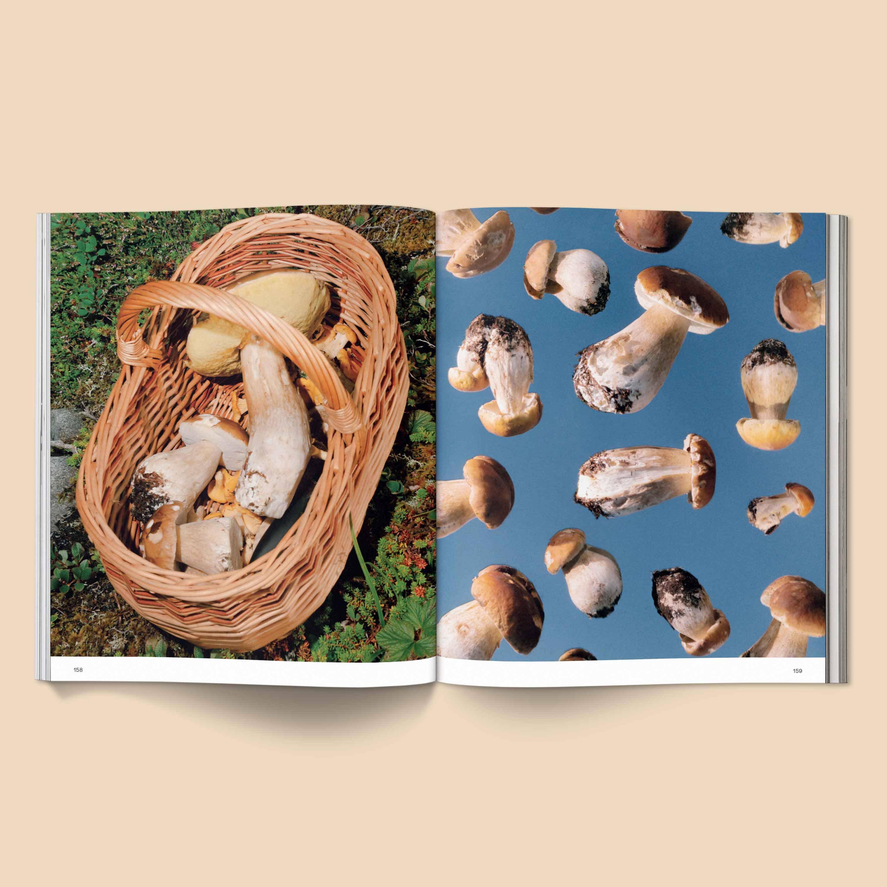 Spores | Magical Mushroom Photography Book