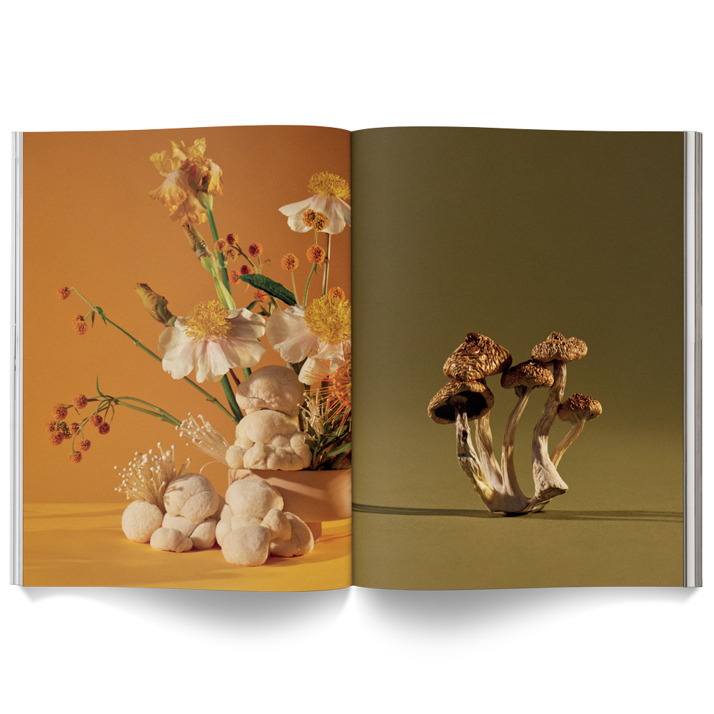 MUSHROOM PEOPLE MAGAZINE | BROCCOLI PUBLISHING