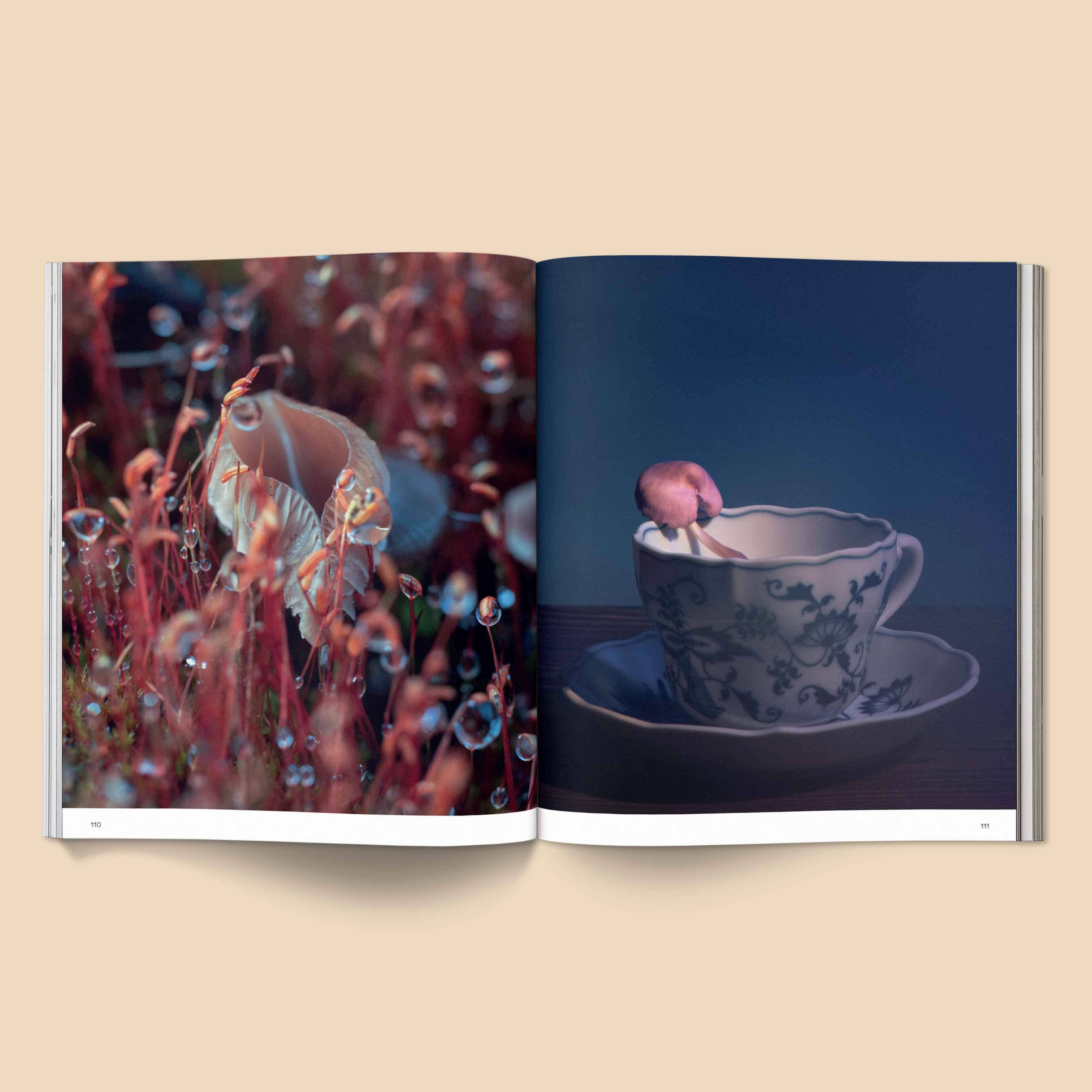 Spores | Magical Mushroom Photography Book