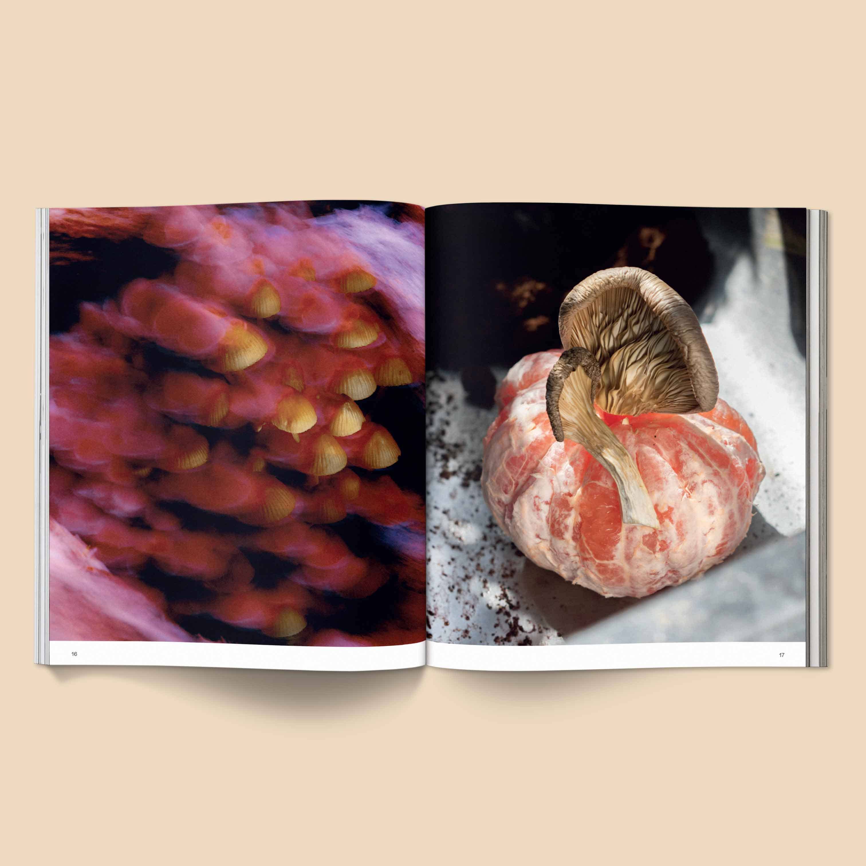 Spores | Magical Mushroom Photography Book
