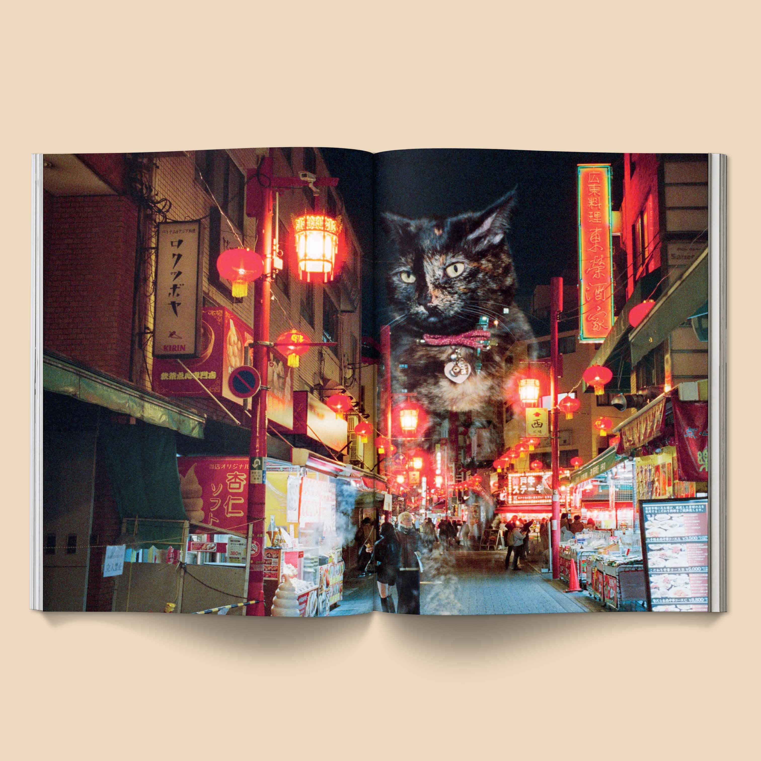 CATNIP MAGAZINE | BROCCOLI PUBLISHING