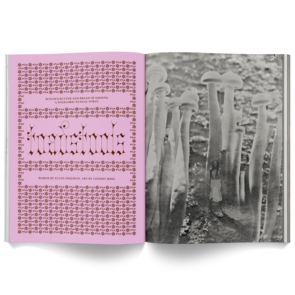 MUSHROOM PEOPLE MAGAZINE | BROCCOLI PUBLISHING