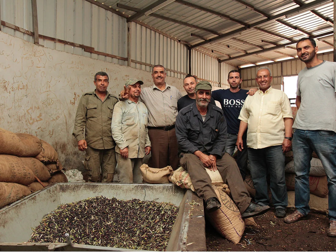 SHATTA | ORGANIC RED HOT CHILI SAUCE