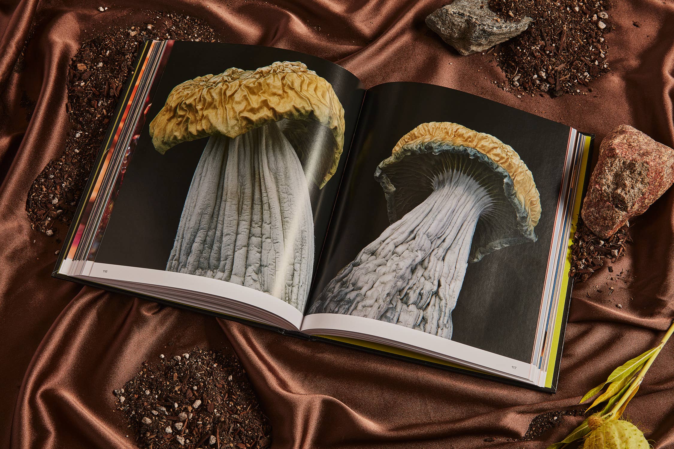 Spores | Magical Mushroom Photography Book