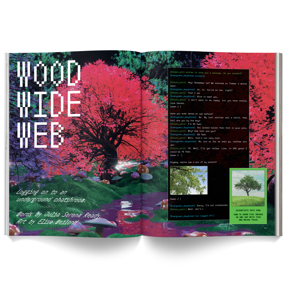 MUSHROOM PEOPLE MAGAZINE | BROCCOLI PUBLISHING