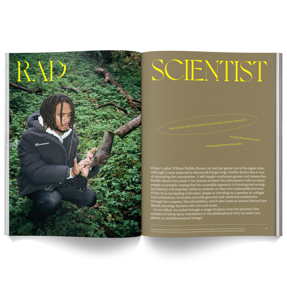 MUSHROOM PEOPLE MAGAZINE | BROCCOLI PUBLISHING